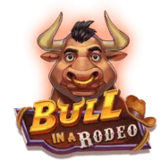Bull in a Rodeo